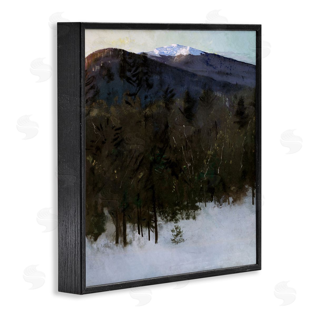 Abbott Handerson Thayer Winter Nature Painting Black Framed Giclee Wall Artside_