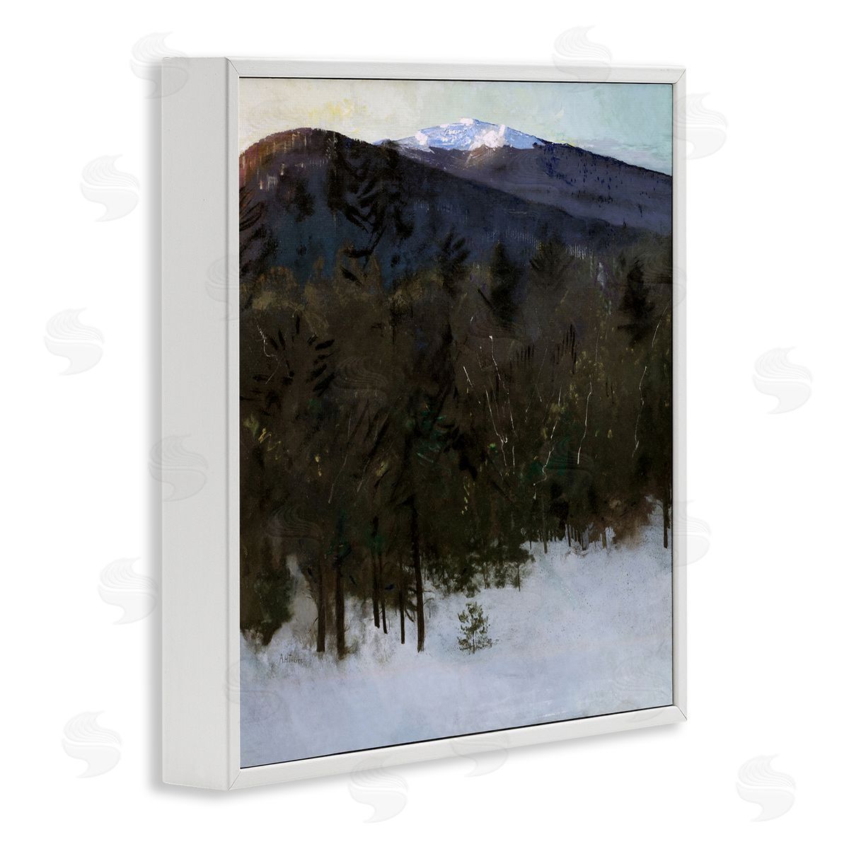 Abbott Handerson Thayer Winter Nature Painting White Framed Giclee Wall Artside_