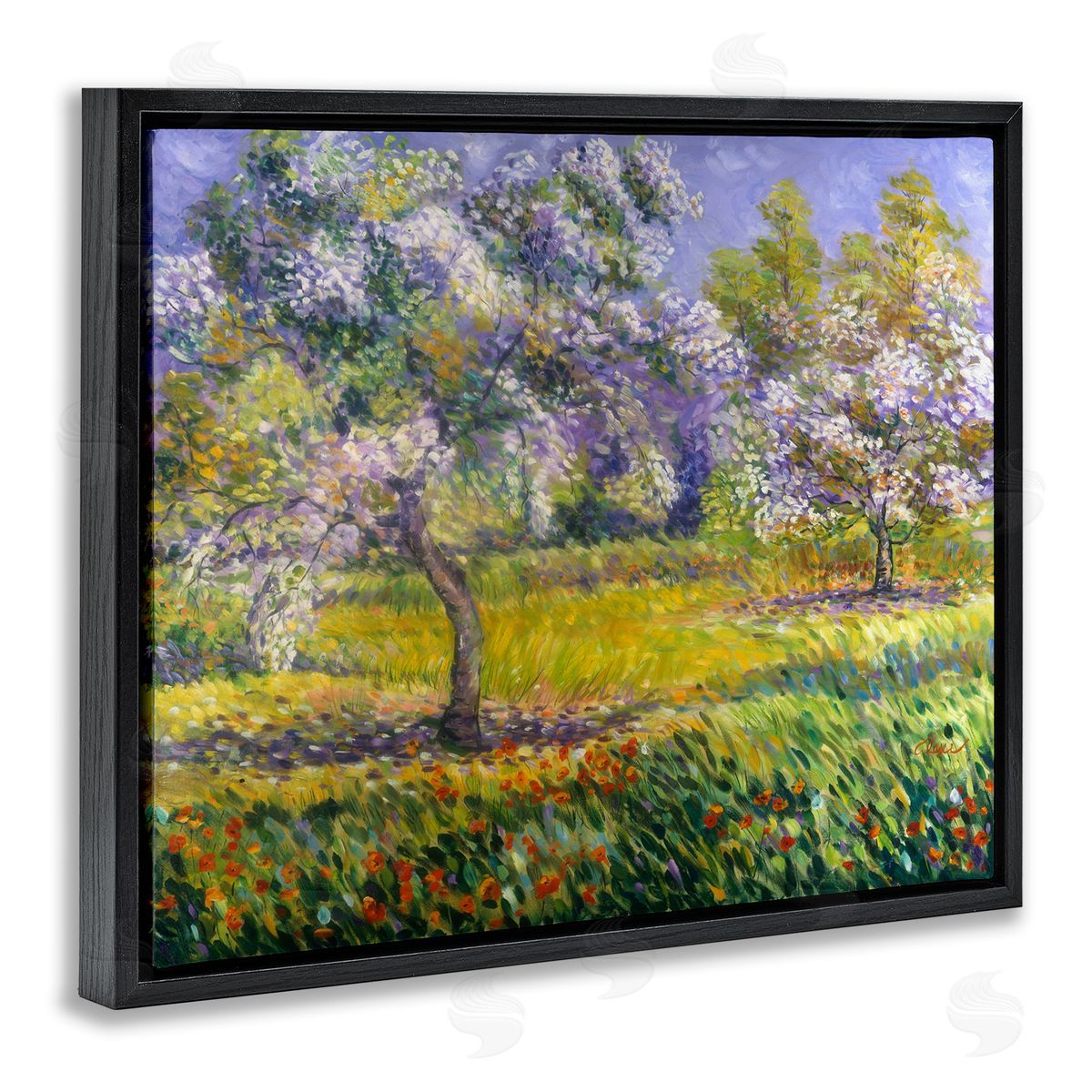 Alexi Fine Spring Blooming Trees Black Floater Frame Canvas Artside_