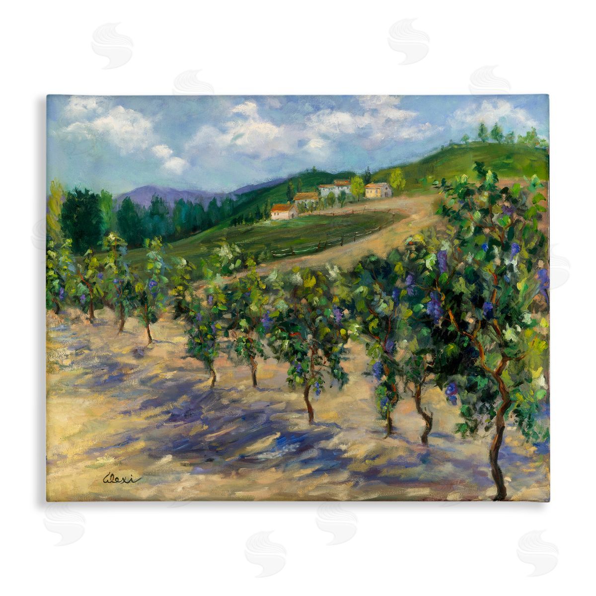 Alexi Fine Rural Vineyard Painting Canvas Wall Art
