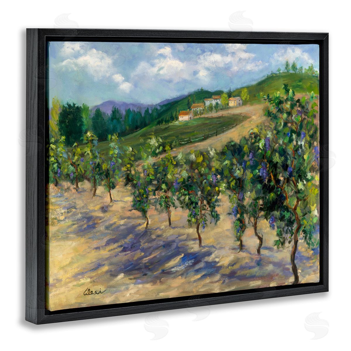 Alexi Fine Rural Vineyard Painting Black Floater Frame Canvas Artside_