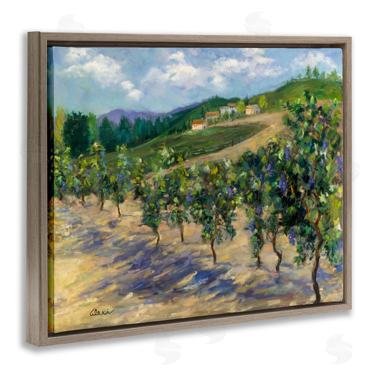 Alexi Fine Rural Vineyard Painting Brown Floater Frame Canvas Artside_