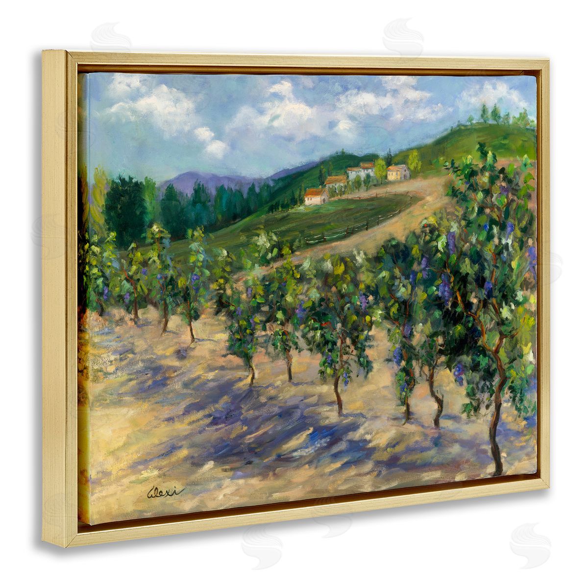 Alexi Fine Rural Vineyard Painting Gold Floater Frame Canvas Artside_