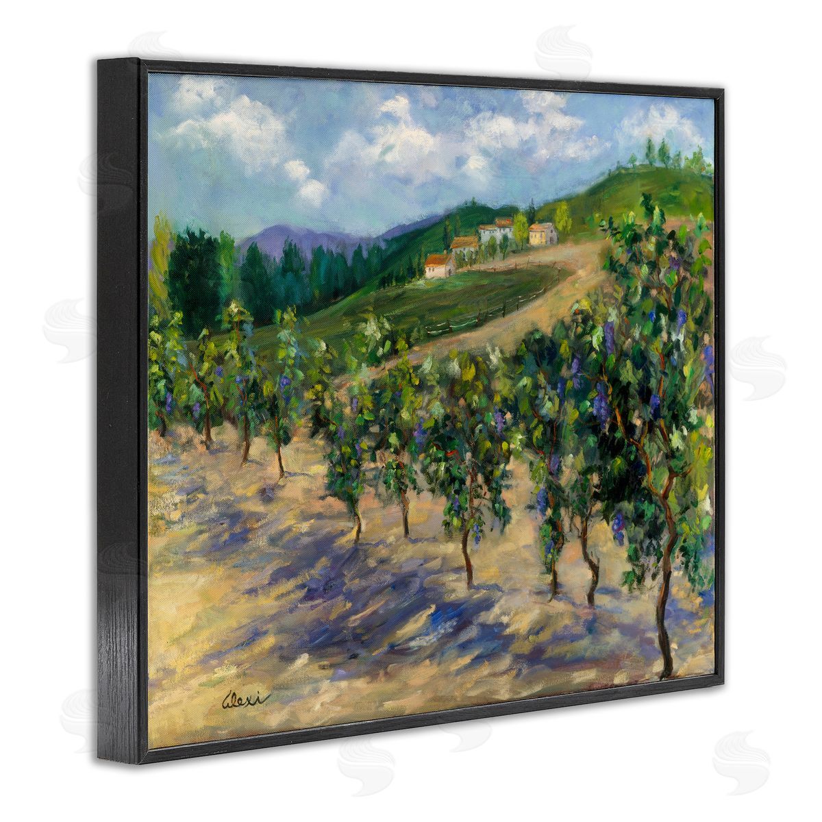 Alexi Fine Rural Vineyard Painting Black Framed Giclee Wall Artside_