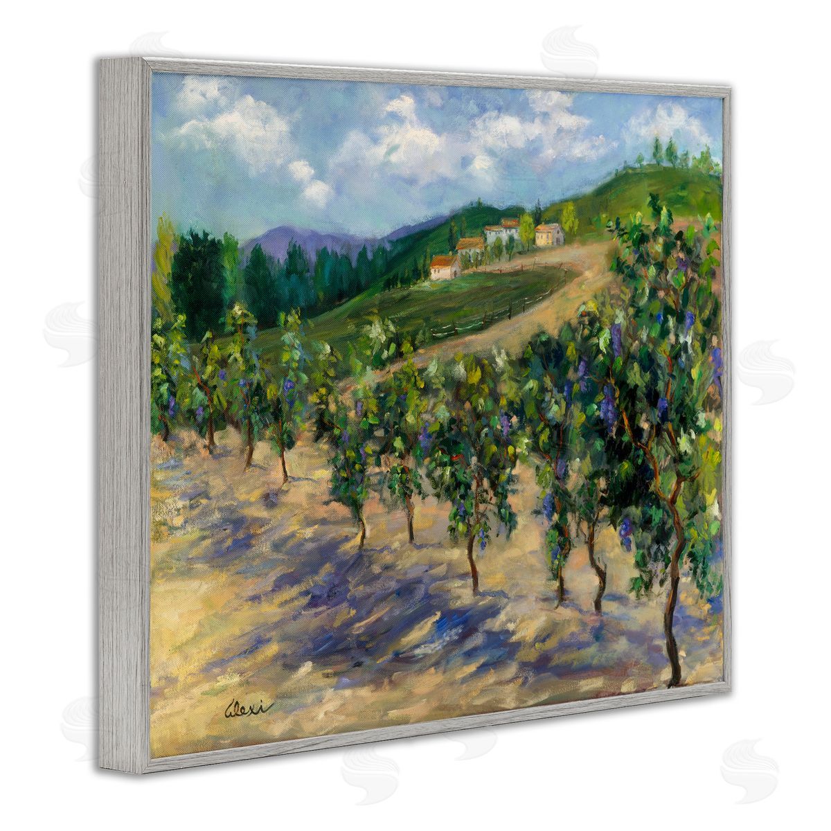 Alexi Fine Rural Vineyard Painting Gray Framed Giclee Wall Artside_