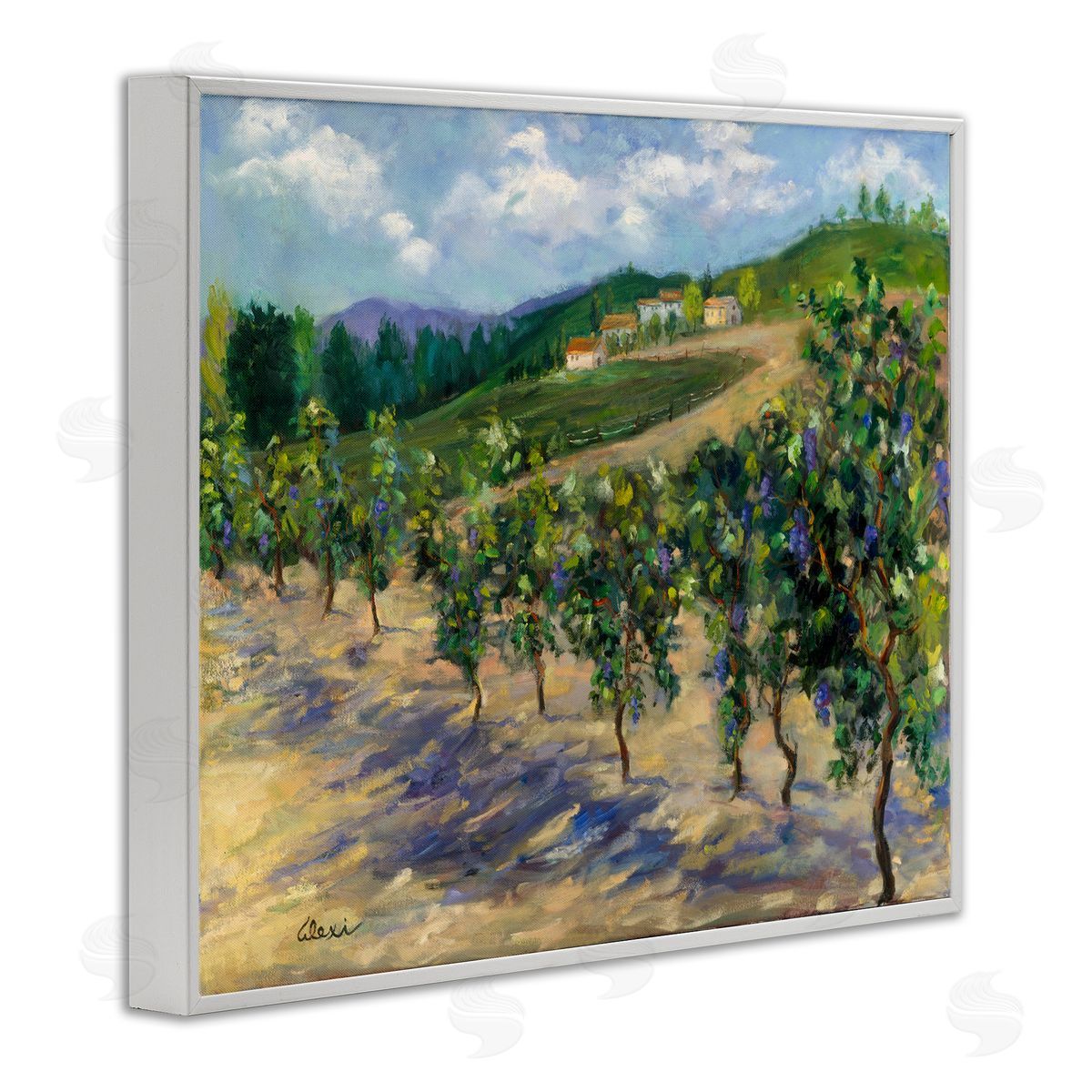 Alexi Fine Rural Vineyard Painting White Framed Giclee Wall Artside_