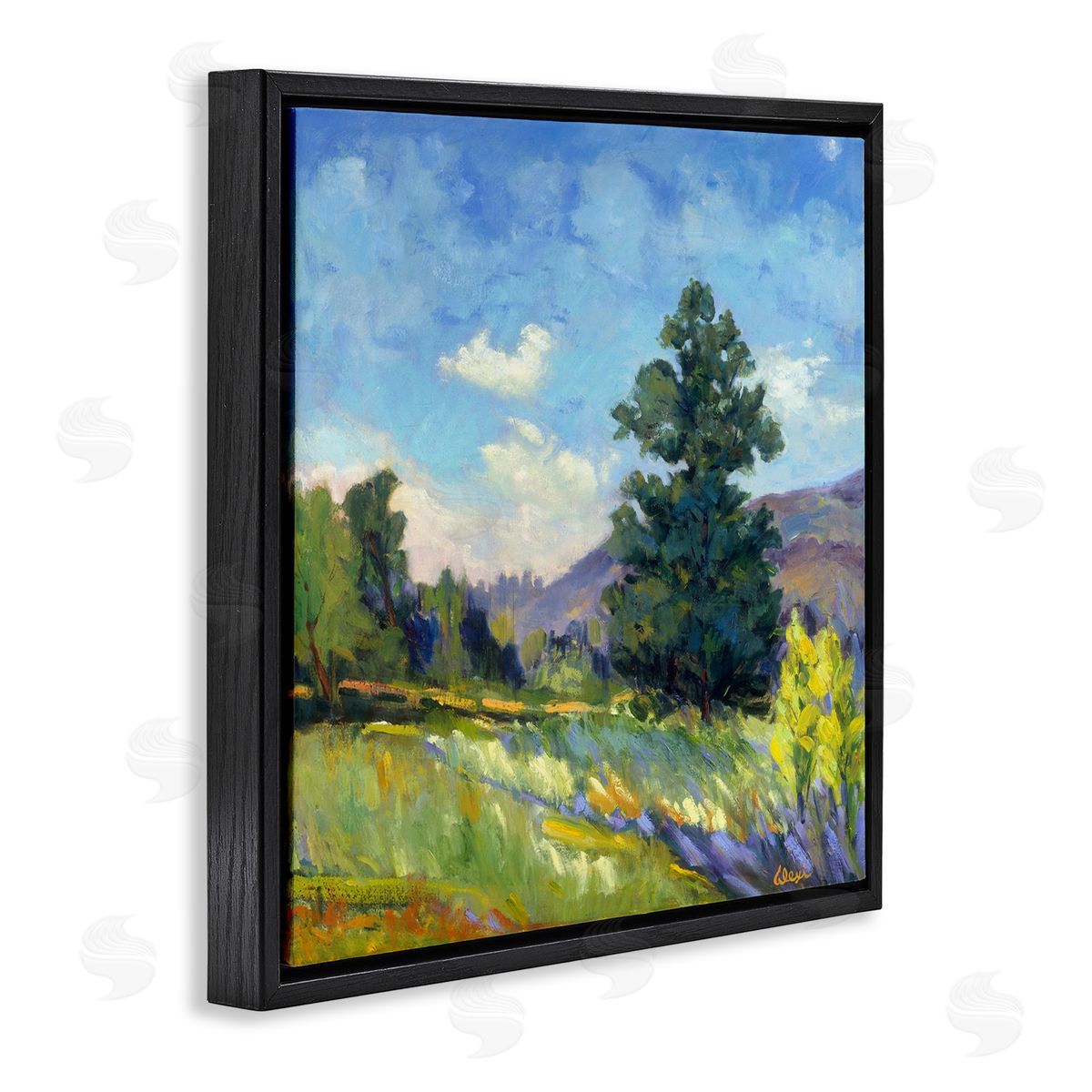 Alexi Fine Rural Nature Painting Black Floater Frame Canvas Artside_