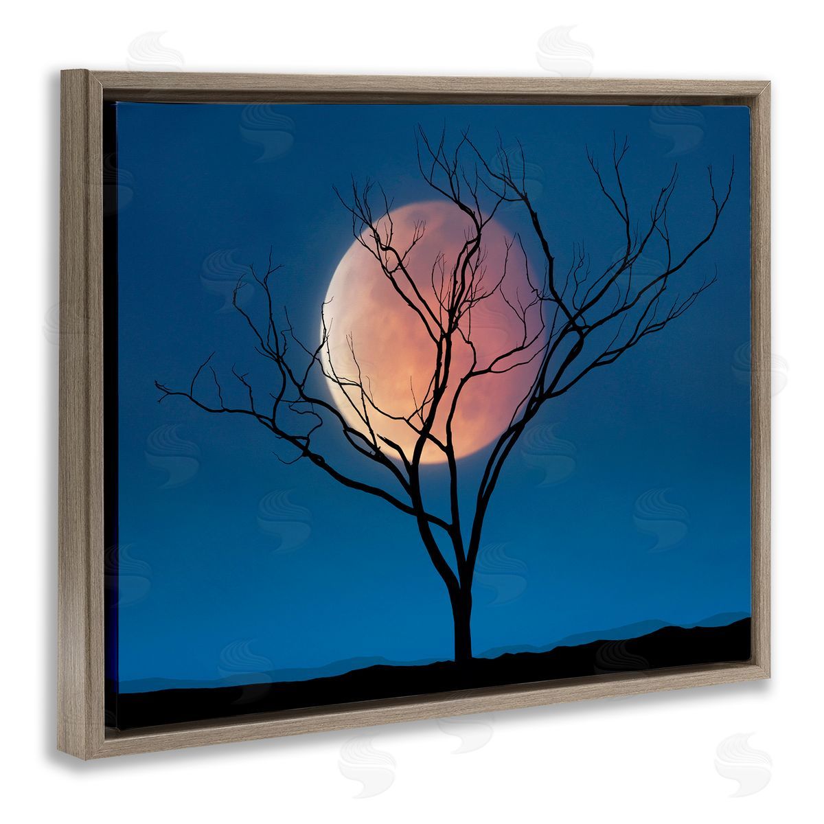 Lee Sie Full Moon & Tree Brown Floater Frame Canvas Artside_