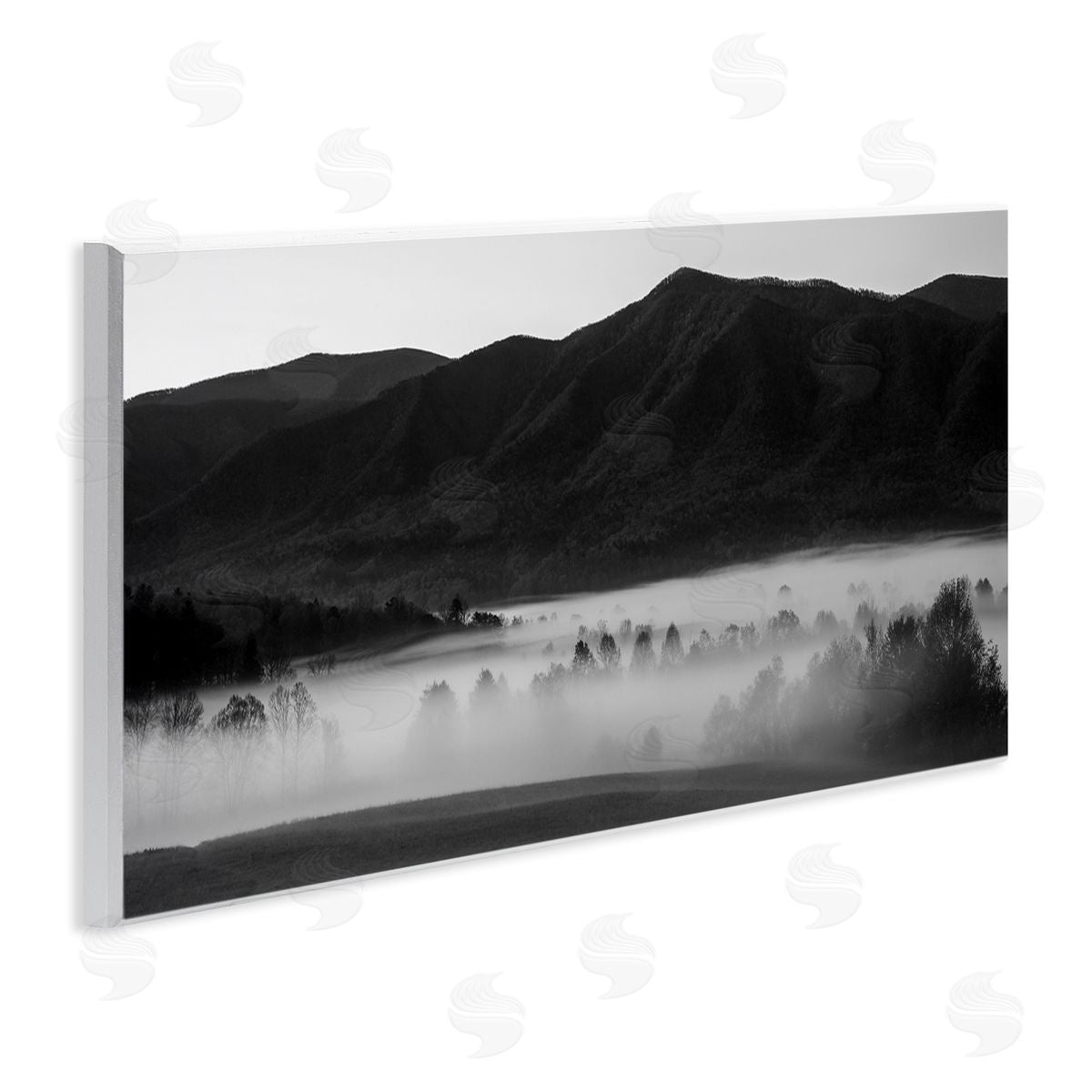 Daniel Sproul Foggy Woodland Nature Wall Plaque Artside_
