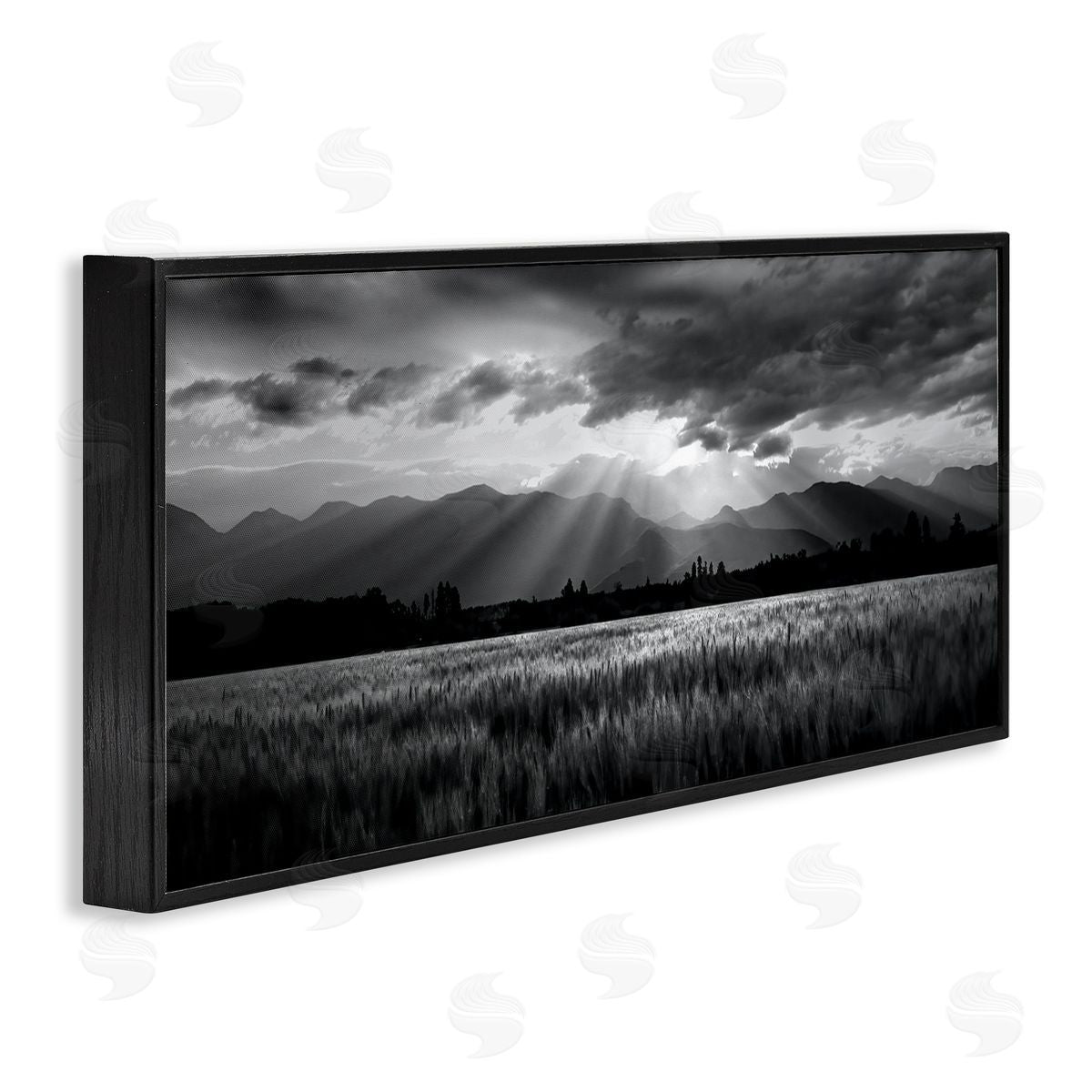 Steve Toole Sun Rays Field Landscape Black Framed Giclee Wall Artside_