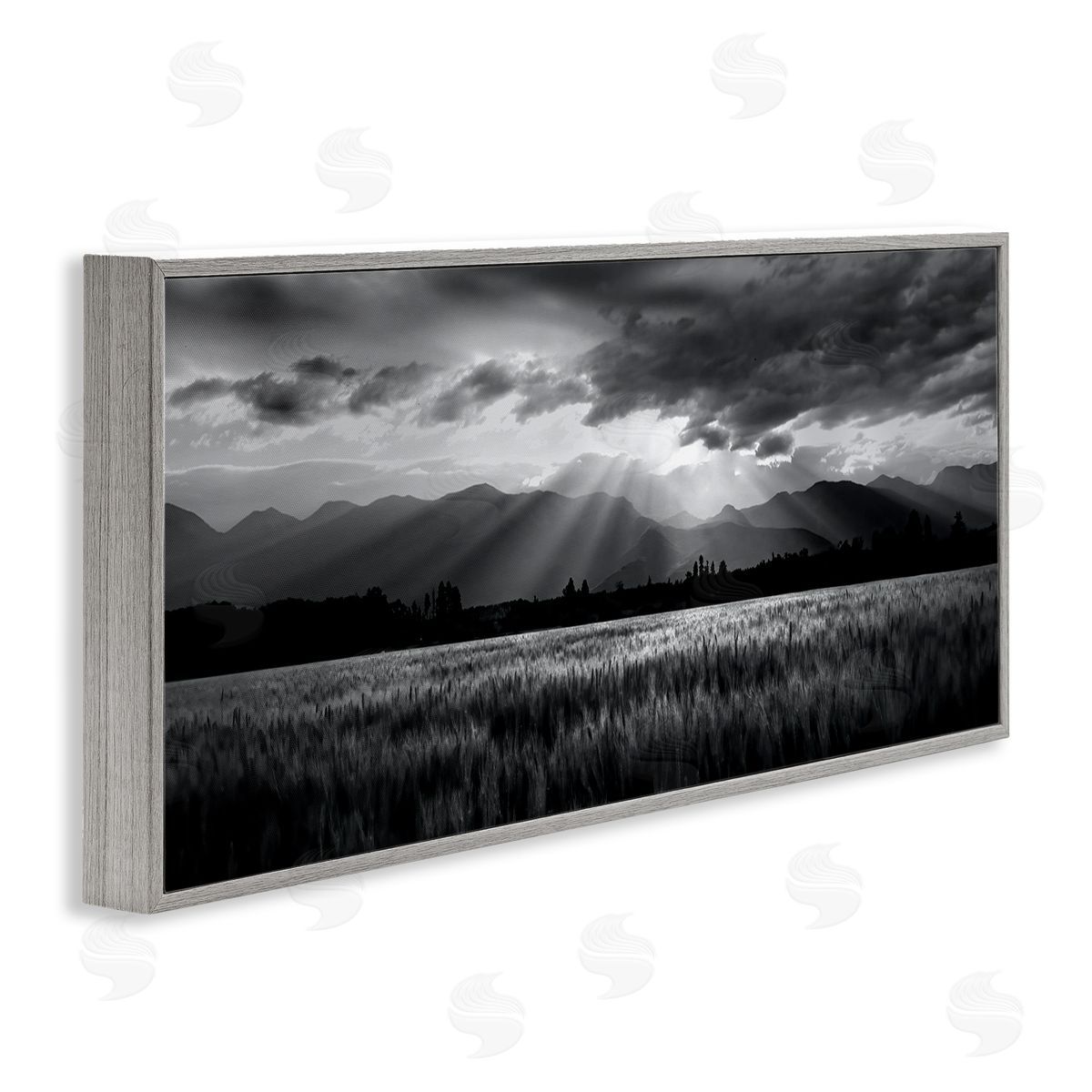 Steve Toole Sun Rays Field Landscape Gray Framed Giclee Wall Artside_