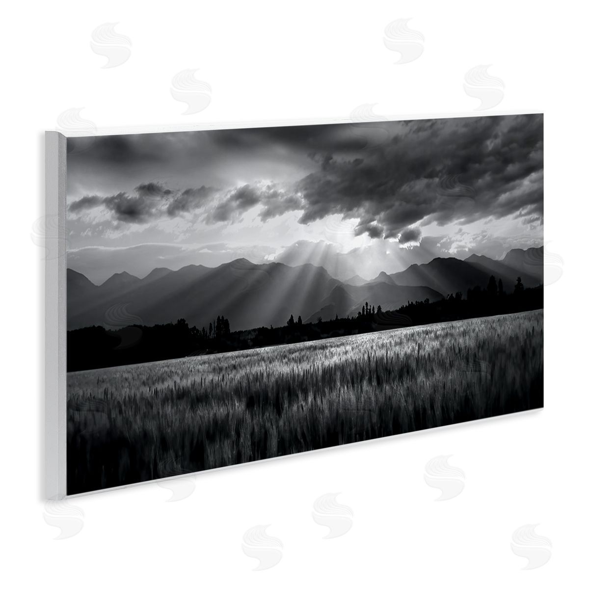 Steve Toole Sun Rays Field Landscape Wall Plaque Artside_