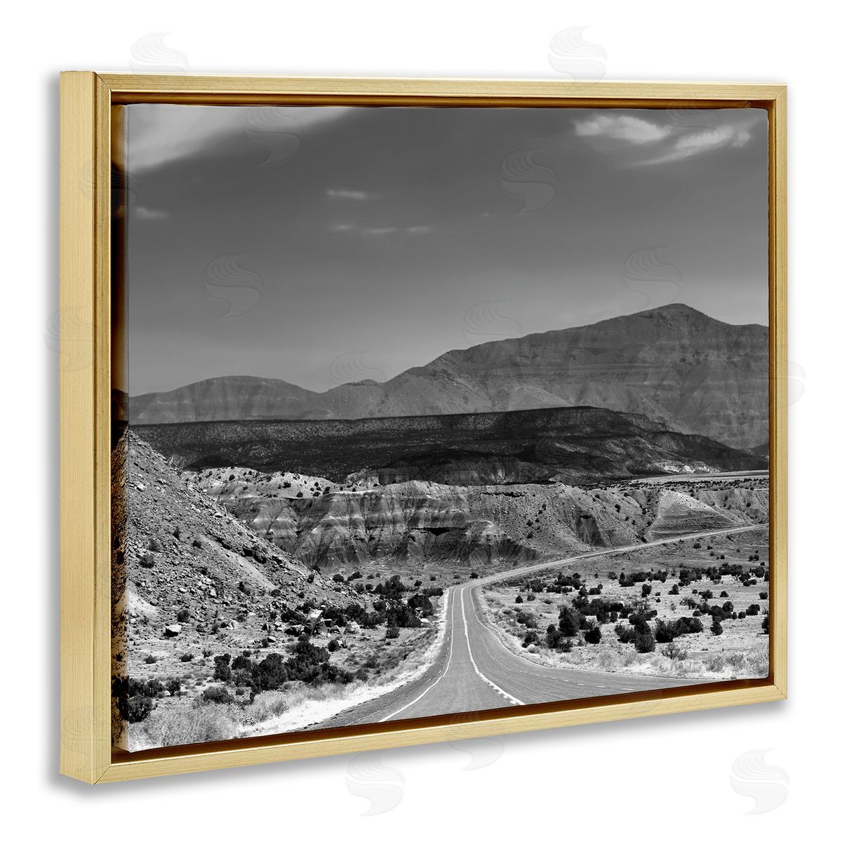 Steve Toole Desert Canyon Road Gold Floater Frame Canvas Artside_