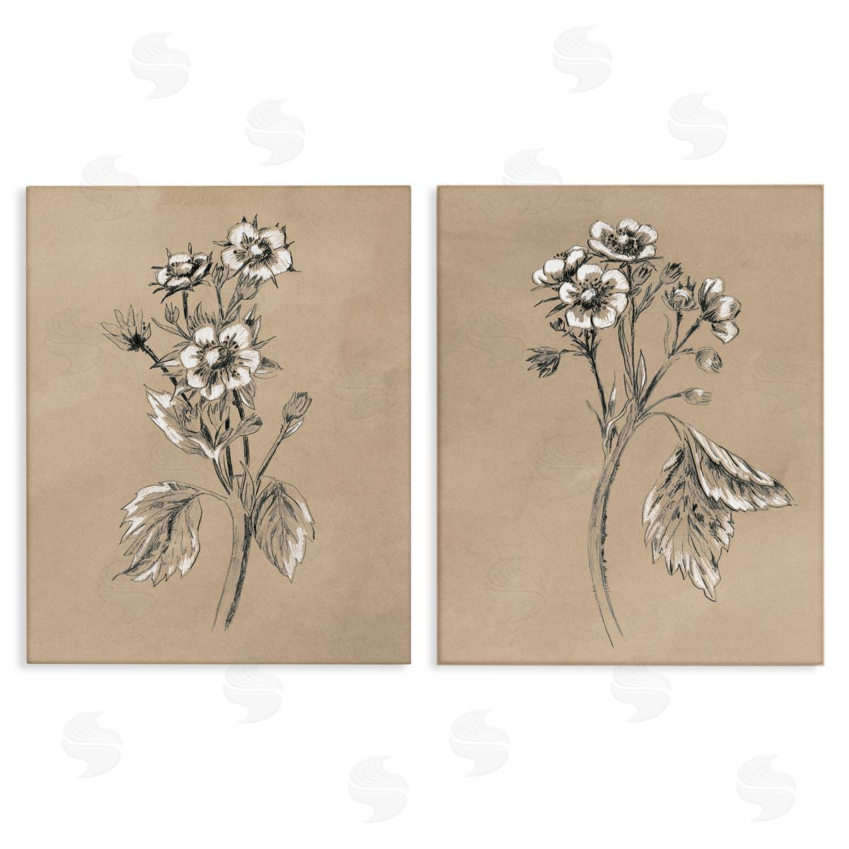 June Erica Vess Vintage Sketch Botanical Canvas Wall Art Print
