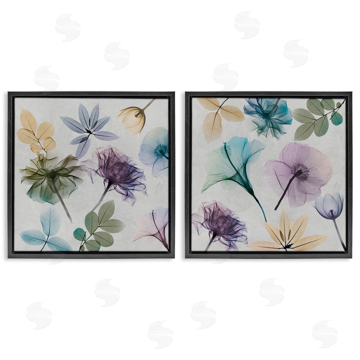 Albert Koetsier X-Ray Floral Collage Black Floating Frame Canvas Wall Art Print