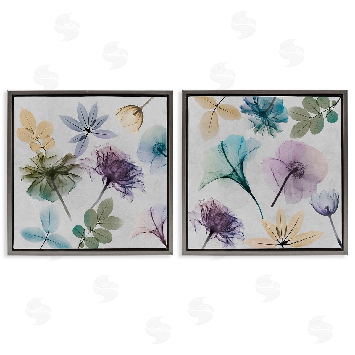 Albert Koetsier X-Ray Floral Collage Gray Floating Frame Canvas Wall Art Print