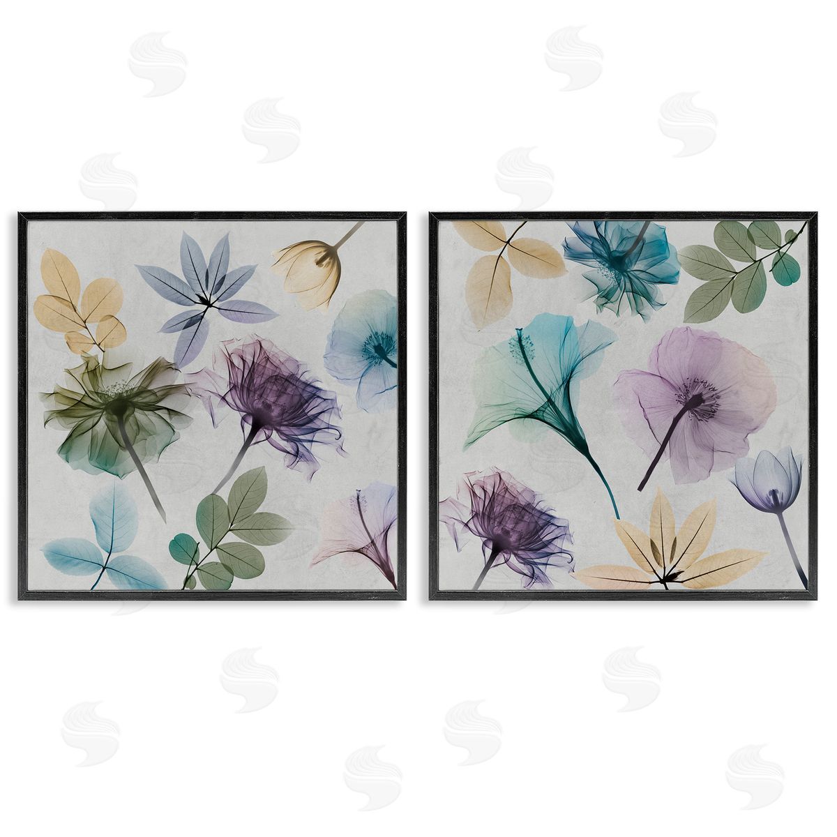 Albert Koetsier X-Ray Floral Collage Black Framed Giclee Wall Art Print