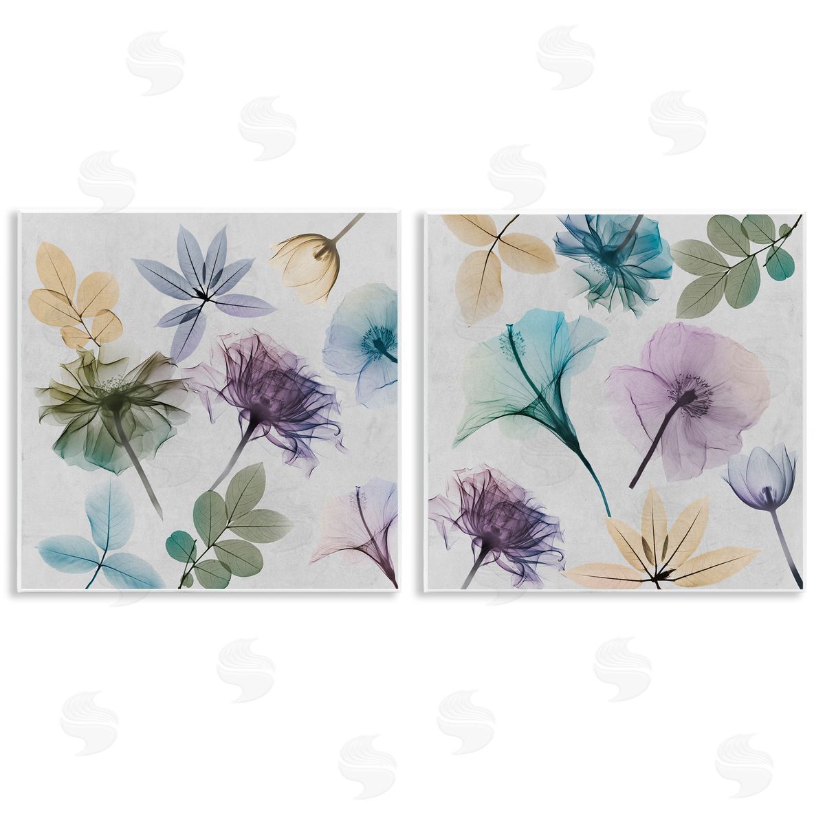 Albert Koetsier X-Ray Floral Collage Wooden Wall Plaque Art Print