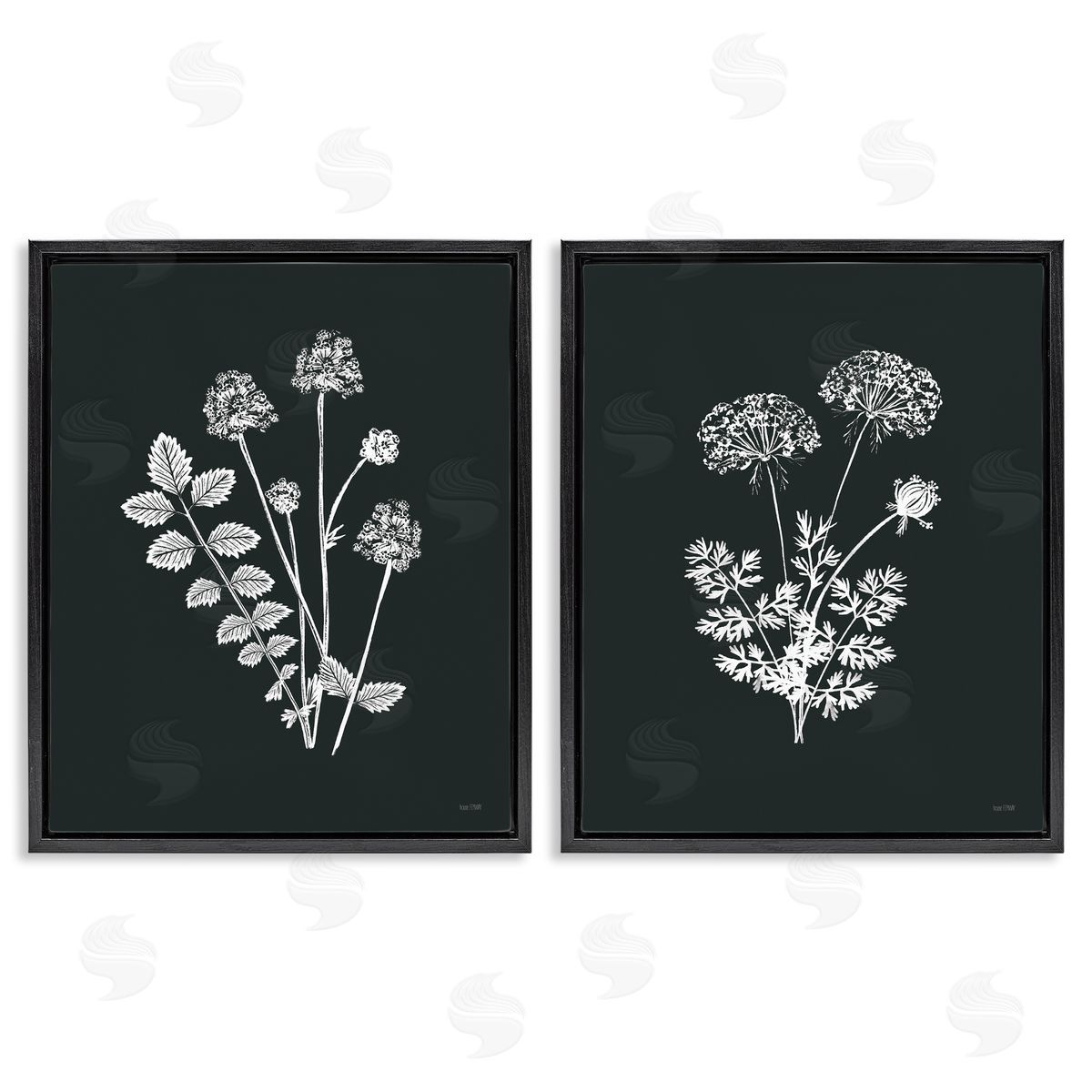 House Fenway Black and White Flower Cluster Black Floating Frame Canvas Wall Art Print