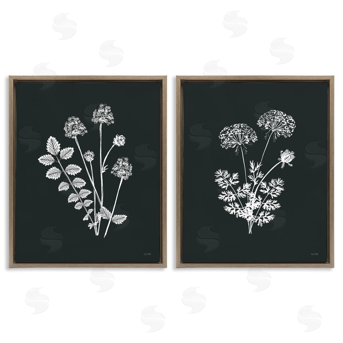 House Fenway Black and White Flower Cluster Brown Floating Frame Canvas Wall Art Print