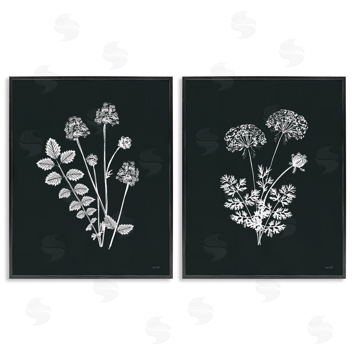 House Fenway Black and White Flower Cluster Black Framed Giclee Wall Art Print