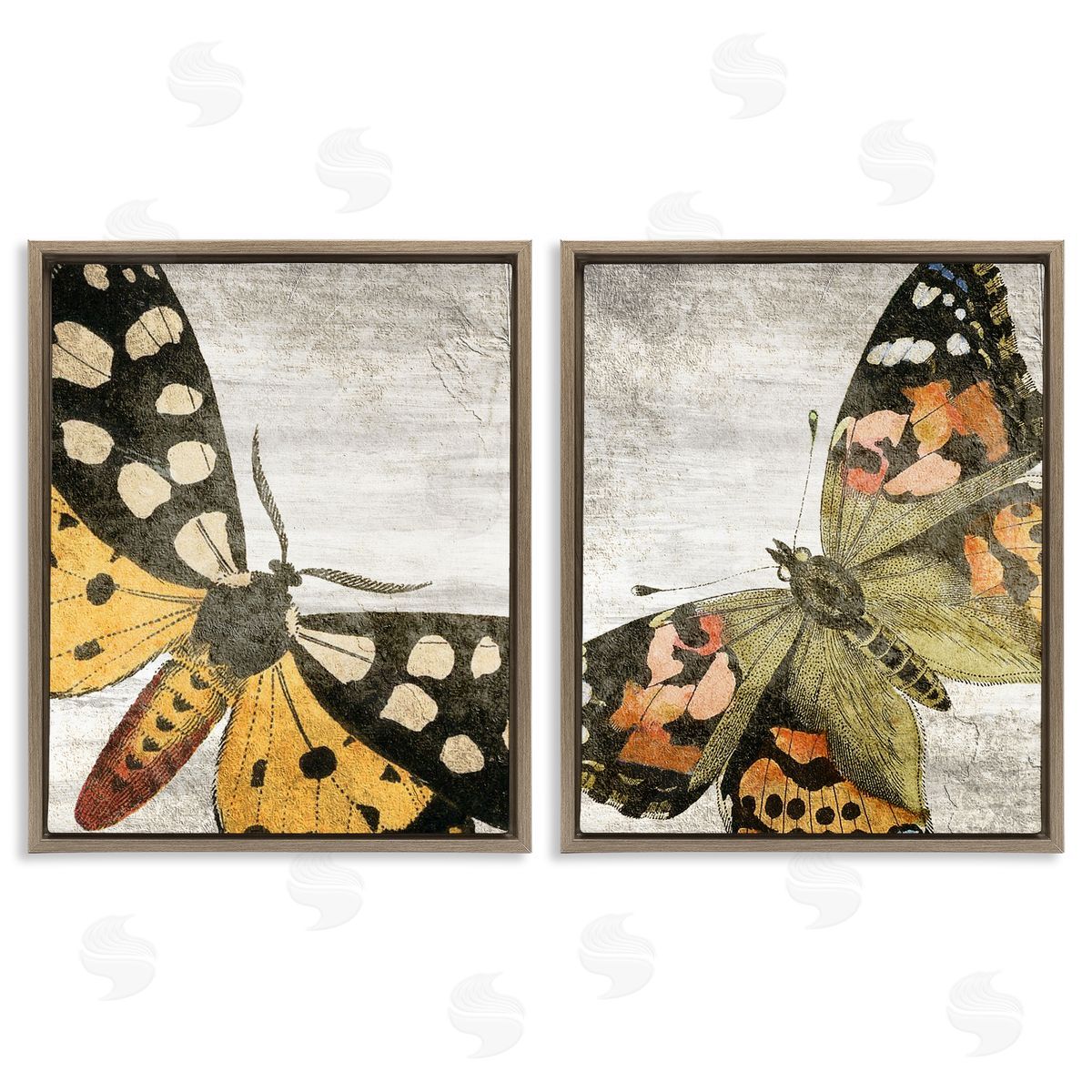 Kim Allen Vintage Spotted butterflies Brown Floating Frame Canvas Wall Art Print