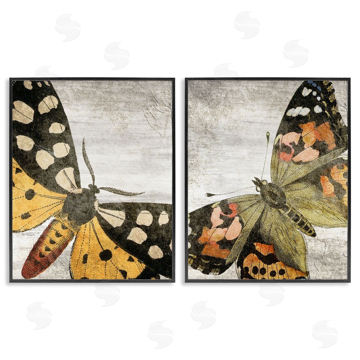Kim Allen Vintage Spotted butterflies Black Framed Giclee Wall Art Print