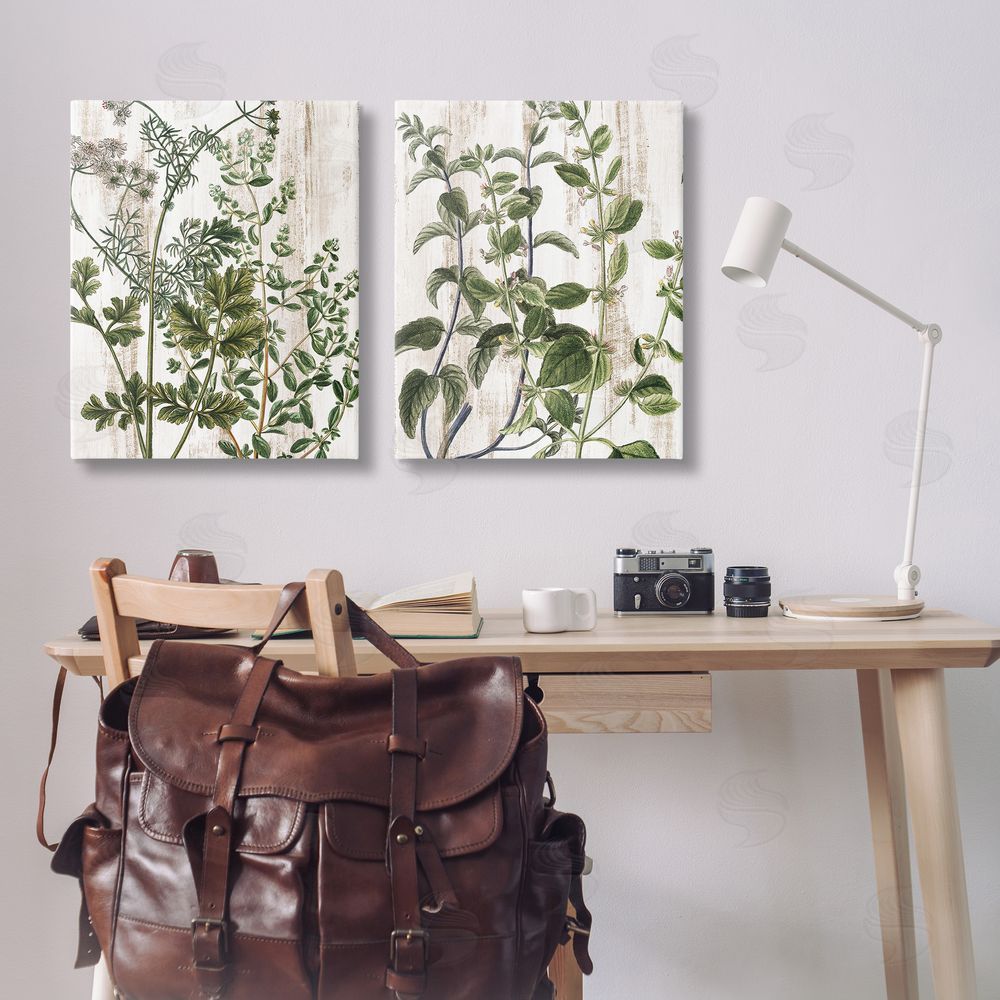 Kim Allen Aged Botanical Leaves  Canvas Wall Art Print in Room