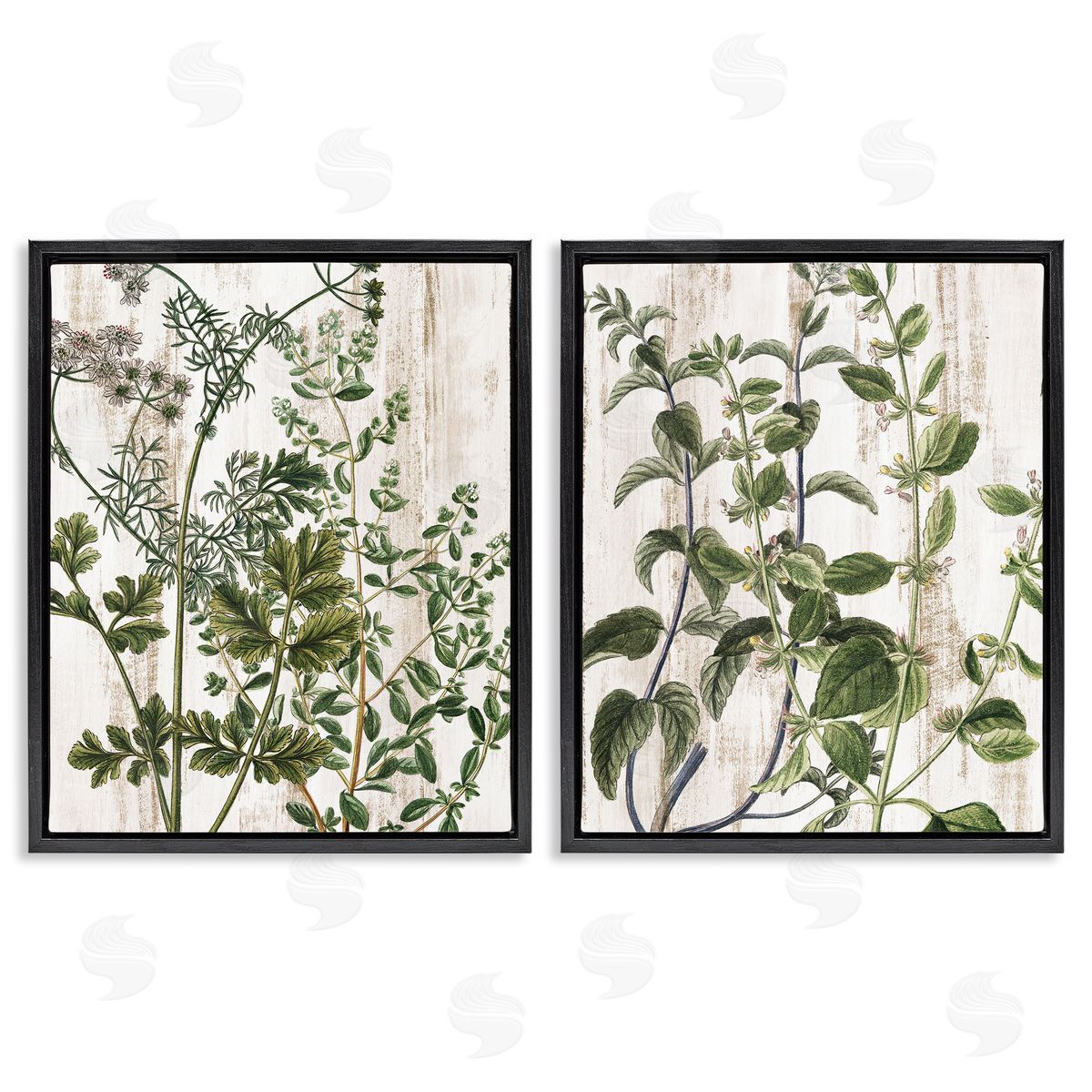 Kim Allen Aged Botanical Leaves  Black Floating Frame Canvas Wall Art Print