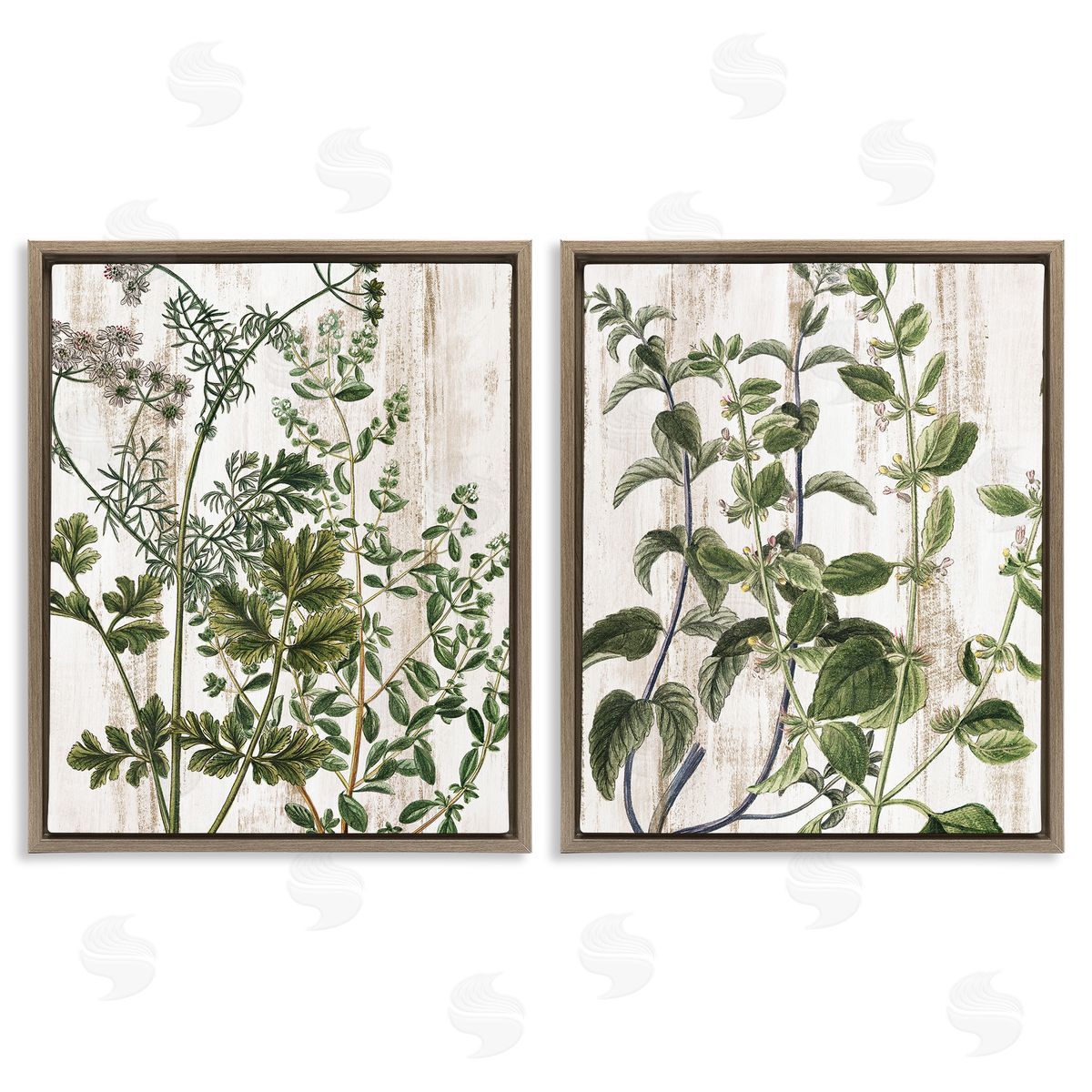 Kim Allen Aged Botanical Leaves  Brown Floating Frame Canvas Wall Art Print