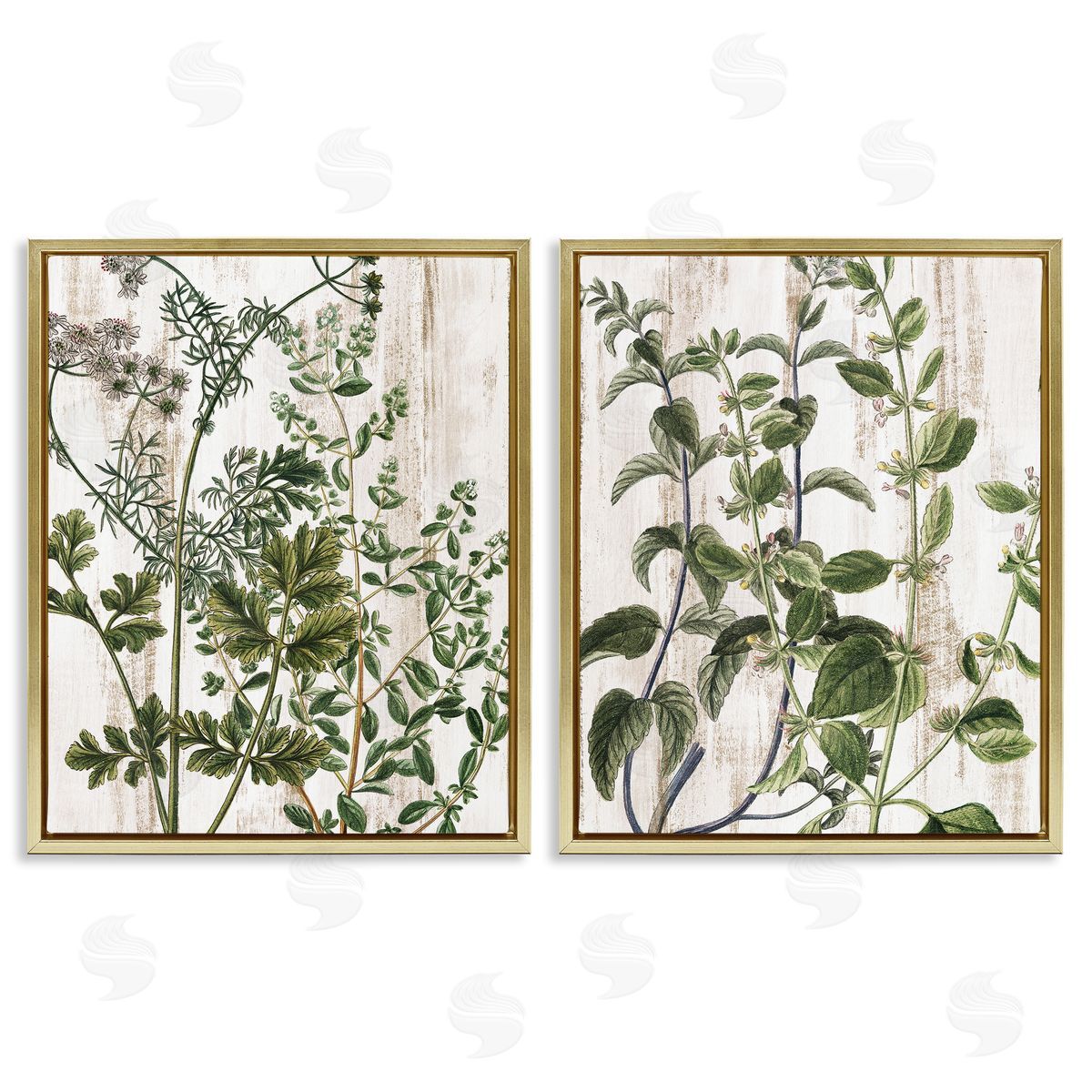 Kim Allen Aged Botanical Leaves  Gold Floating Frame Canvas Wall Art Print