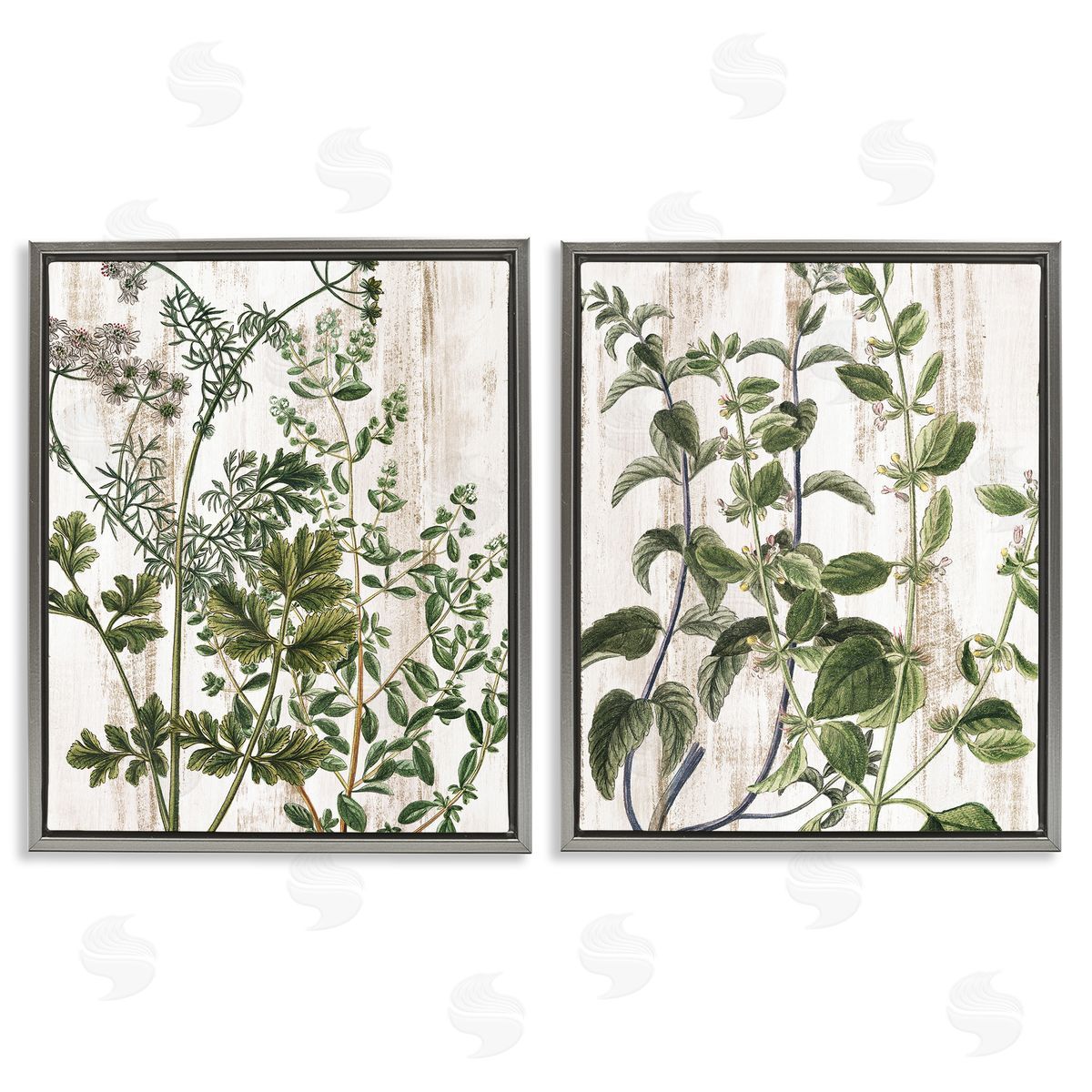 Kim Allen Aged Botanical Leaves  Gray Floating Frame Canvas Wall Art Print