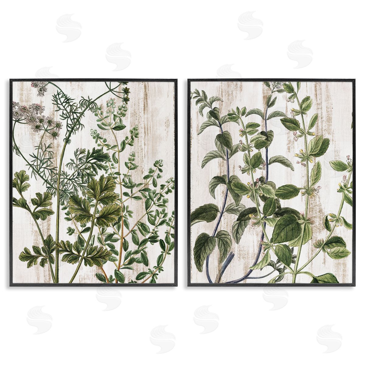 Kim Allen Aged Botanical Leaves  Black Framed Giclee Wall Art Print