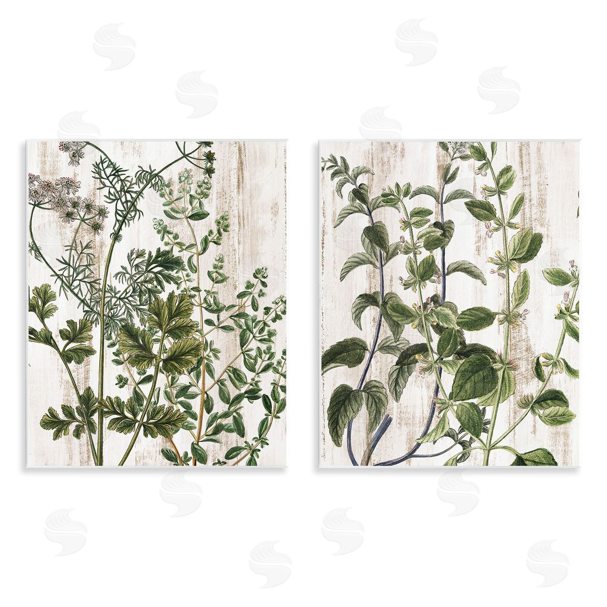 Kim Allen Aged Botanical Leaves  Wooden Wall Plaque Art Print