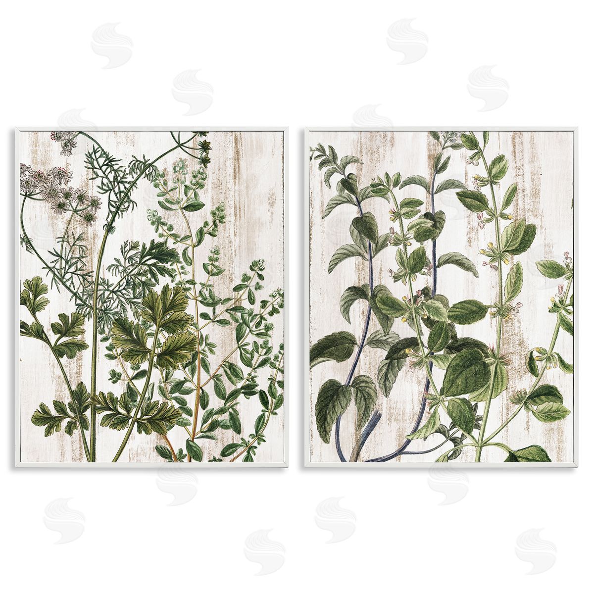 Kim Allen Aged Botanical Leaves  White Framed Giclee Wall Art Print
