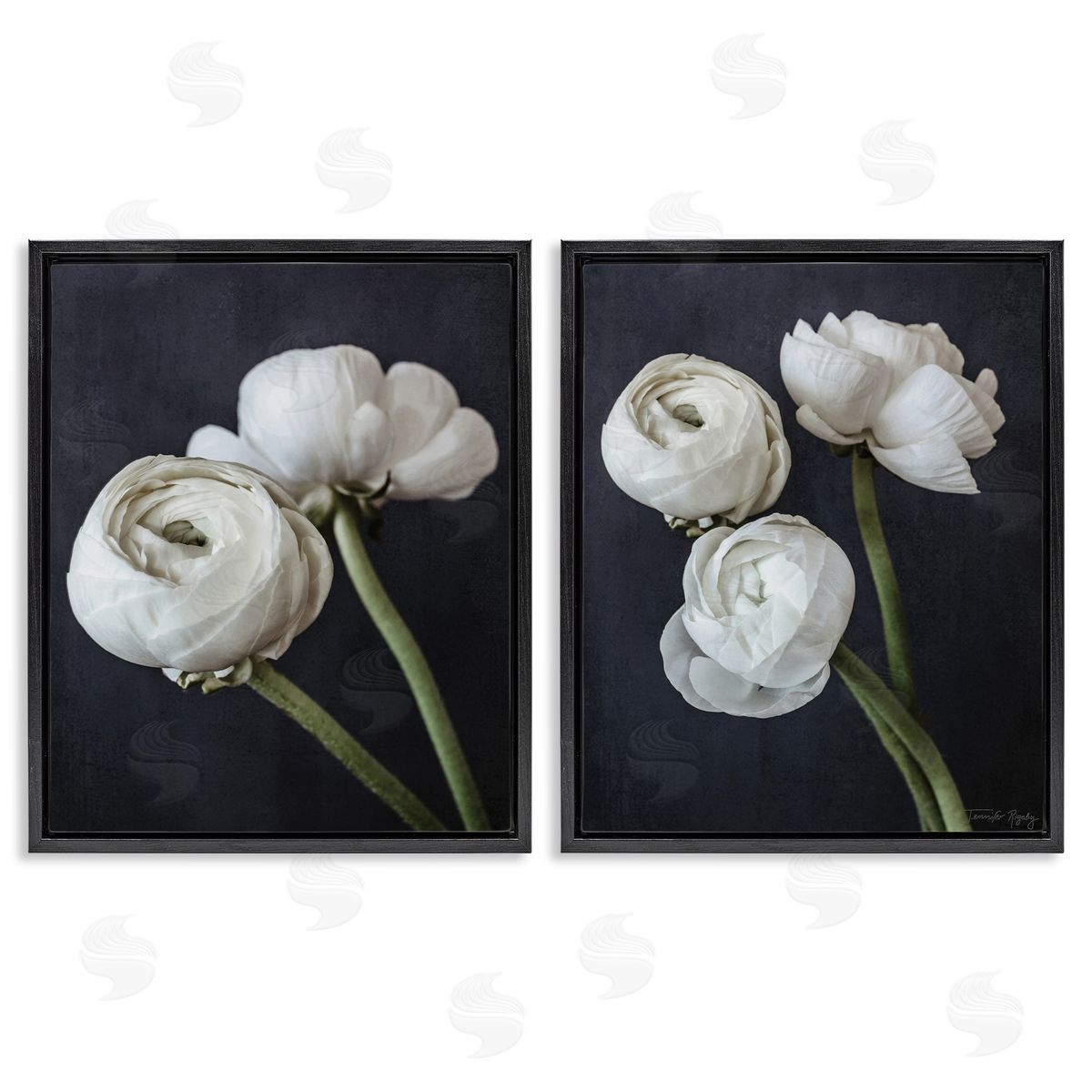 Jennifer Rigsby Simple Black & White Peony Black Floating Frame Canvas Wall Art Print