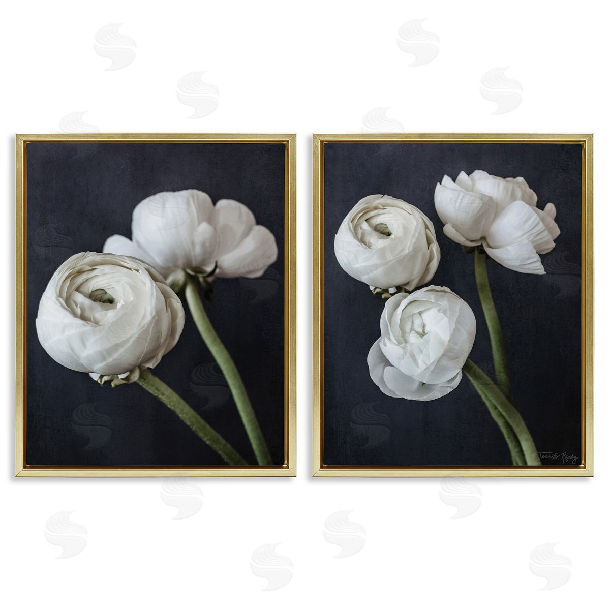 Jennifer Rigsby Simple Black & White Peony Gold Floating Frame Canvas Wall Art Print