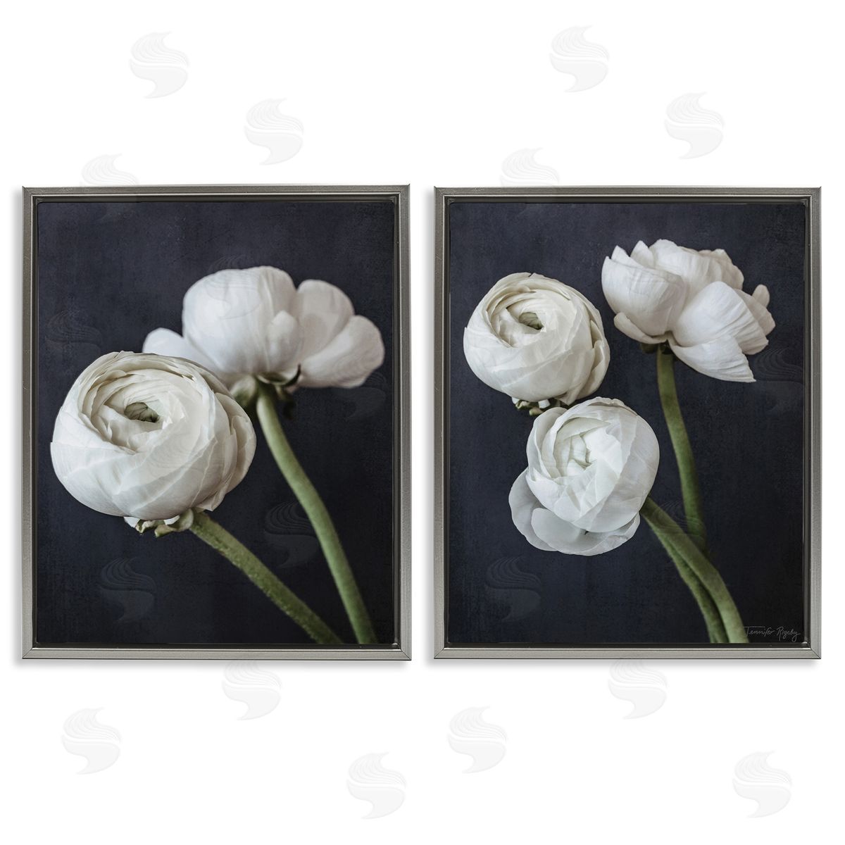 Jennifer Rigsby Simple Black & White Peony Gray Floating Frame Canvas Wall Art Print
