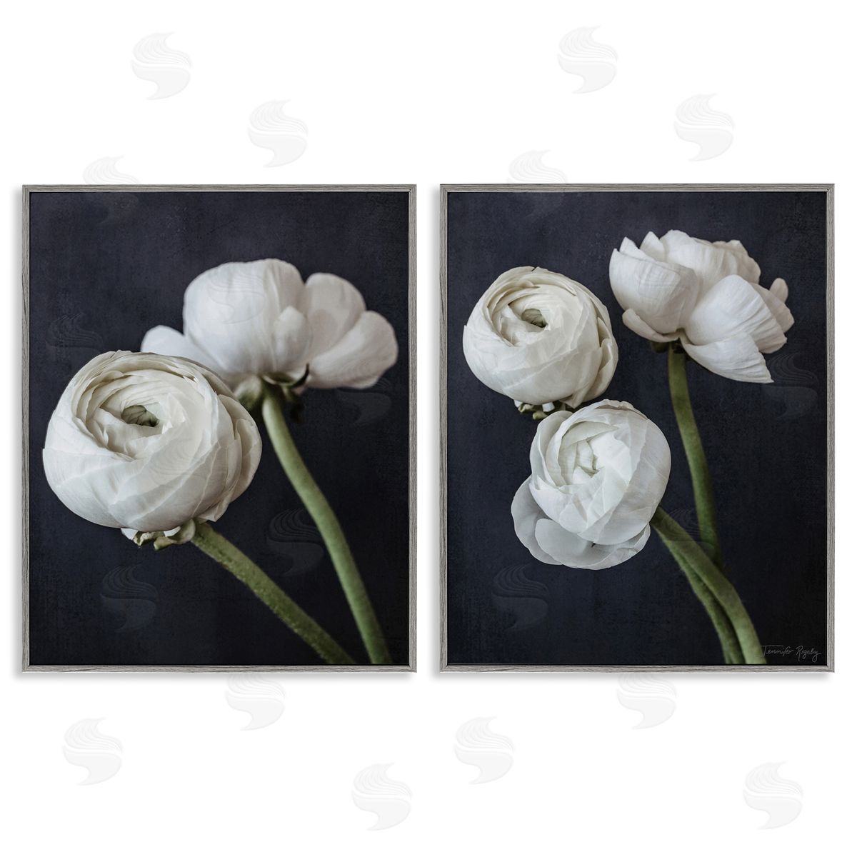 Jennifer Rigsby Simple Black & White Peony Gray Framed Giclee Wall Art Print