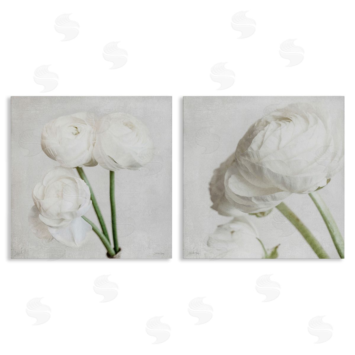 Jennifer Rigsby Simple White Peony Stems Canvas Wall Art Print