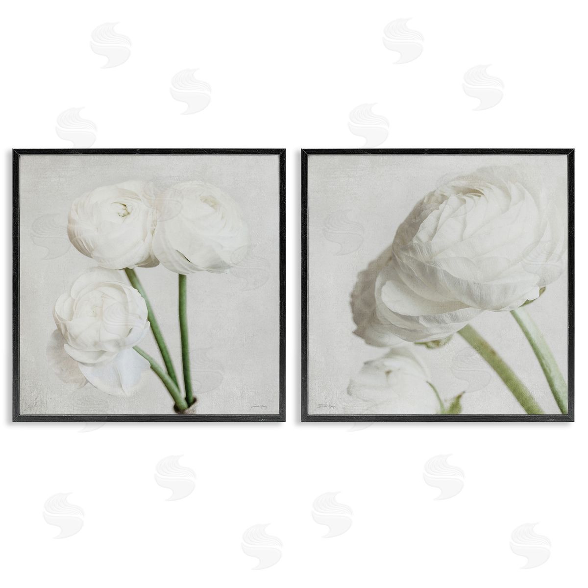 Jennifer Rigsby Simple White Peony Stems Black Framed Giclee Wall Art Print