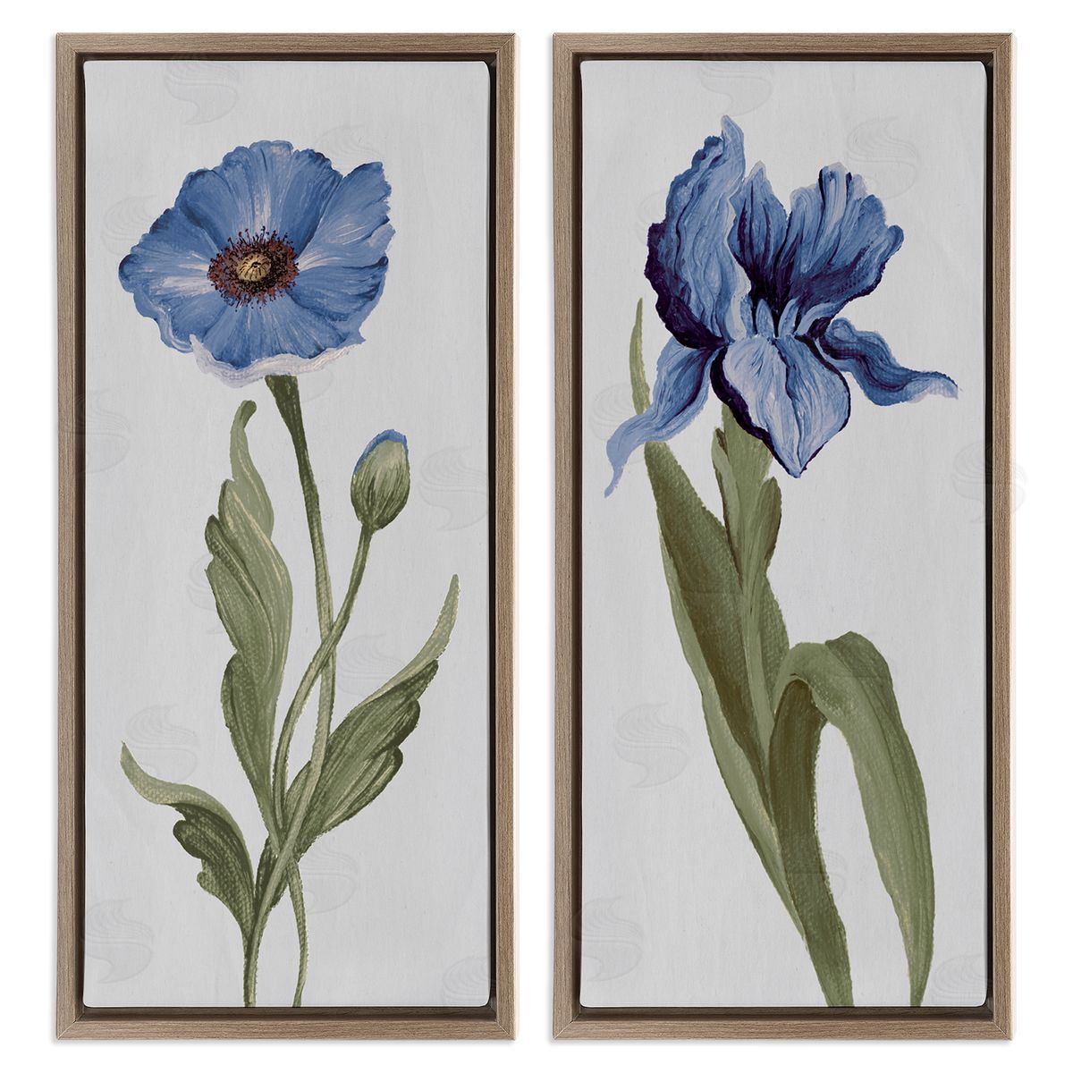 Elizabeth Medley Blue Poppy and Iris Flowers Brown Floating Frame Canvas Wall Art Print