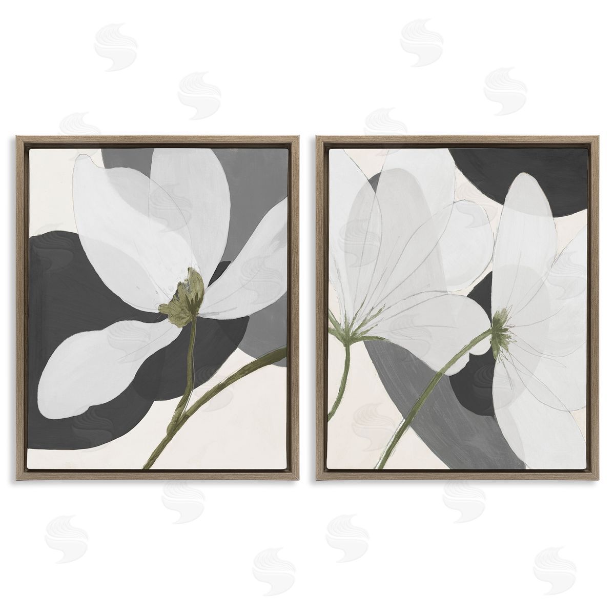Patricia Pinto Large White Petal Drawing Brown Floating Frame Canvas Wall Art Print