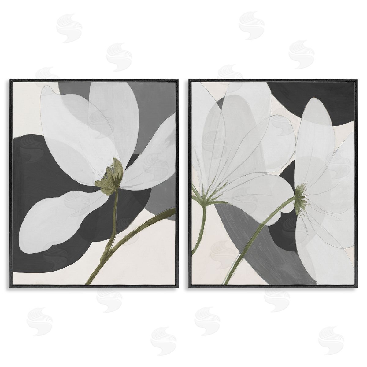 Patricia Pinto Large White Petal Drawing Black Framed Giclee Wall Art Print