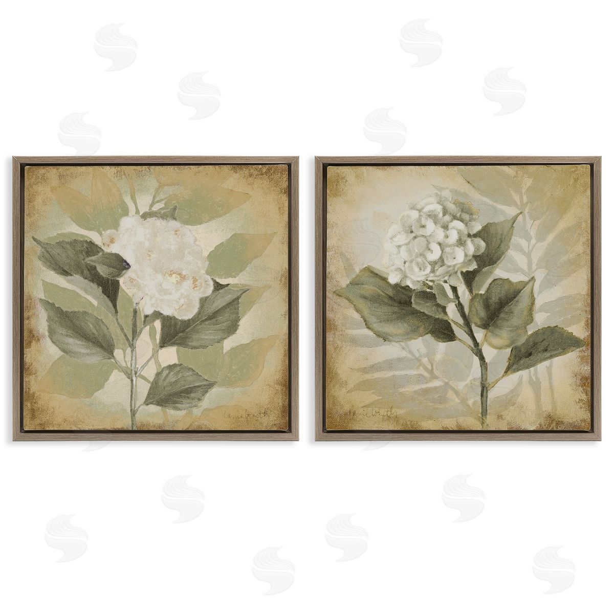 Lanie Loreth Aubergine White Hydrangeas Brown Floating Frame Canvas Wall Art Print