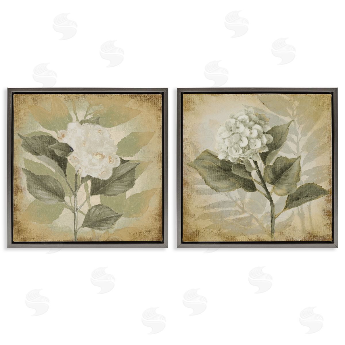 Lanie Loreth Aubergine White Hydrangeas Gray Floating Frame Canvas Wall Art Print