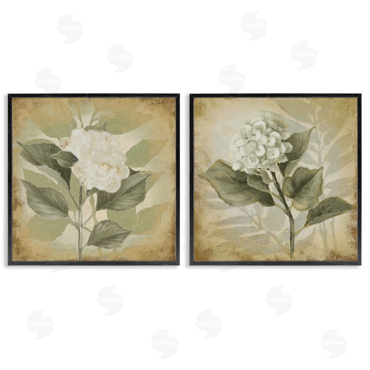 Lanie Loreth Aubergine White Hydrangeas Black Framed Giclee Wall Art Print