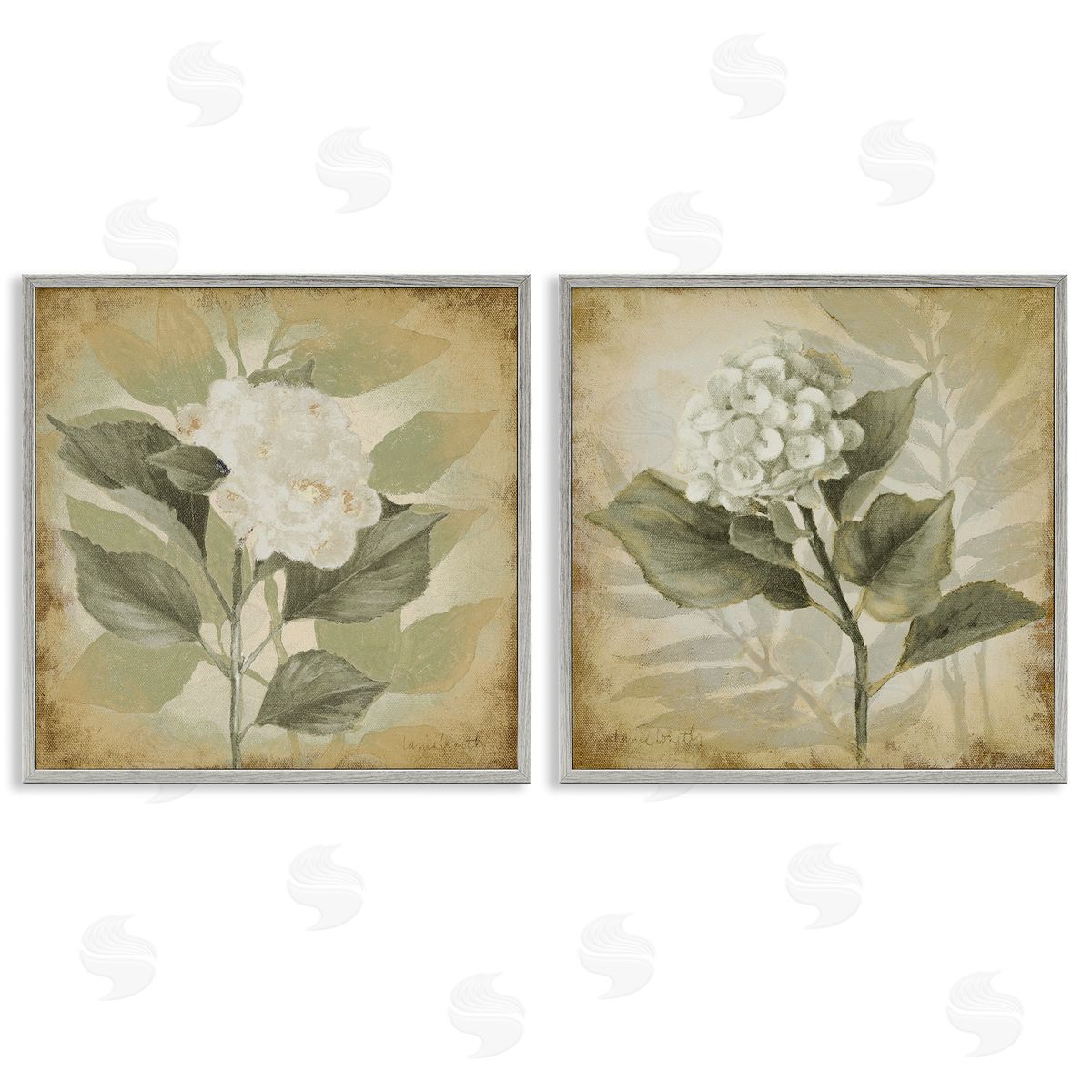 Lanie Loreth Aubergine White Hydrangeas Gray Framed Giclee Wall Art Print