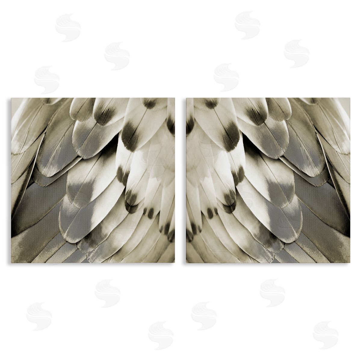 Julia Bosco Bird Feathers Vintage View Canvas Wall Art Print