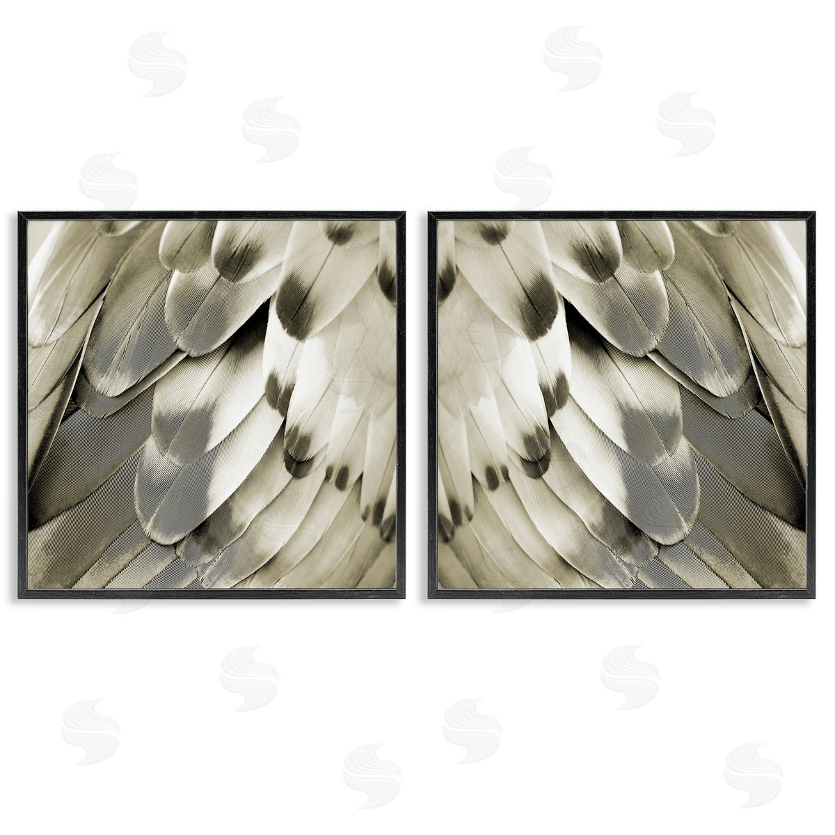 Julia Bosco Bird Feathers Vintage View Black Framed Giclee Wall Art Print